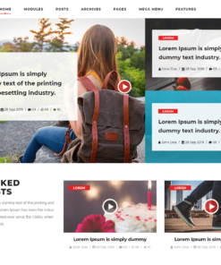 Vlogger Video Blog