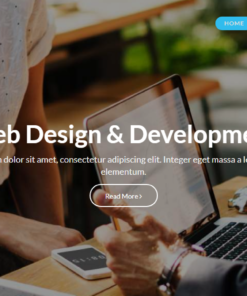 Web Development WordPress Theme